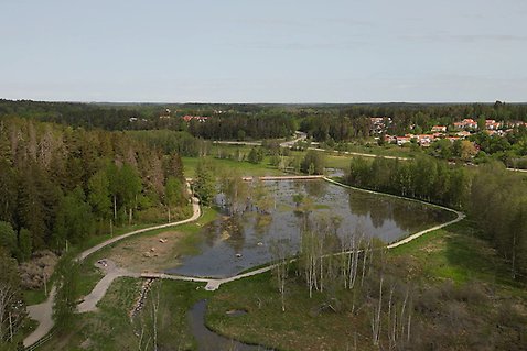 Översiktsbild över Sanda våtmark.