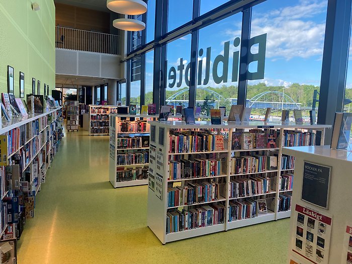 Böcker på biblioteket. I bakgrunden en glasruta.